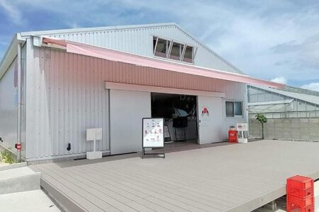 ごろっとイチゴとなめらかプリン (AX003)