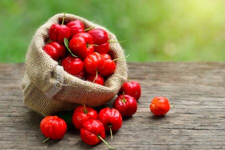 アセロラ100 ストレート100%ジュース(500ml×6本) (AD002-1)