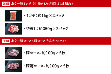 AG020　【3回定期便】あぐー豚の定期便B