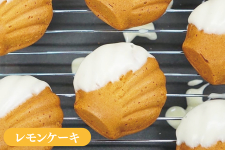 【ペストリーうんてん】おきなわケーキのセット 8個入り×2 （BN001-1）