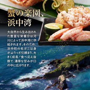 北海道産 毛ガニ2杯セット（1杯400～450g）　北海道産 毛ガニ カニ 1杯 ～ 2杯 約400 ～ 830g 国産 数量限定 年末年始 新鮮 かに 浜茹で 北海道 浜中町 お取り寄せ 贅沢 グルメ ギフト プレゼント 贈り物 真空 海鮮 魚介類 海産物 食品 食べ物 ボイル 雑炊 かにみそ 冷凍 送料無料_H0001-050