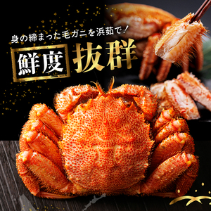 北海道産 毛ガニ1杯（500～530g） 北海道産 毛ガニ カニ 1杯 ～ 2杯 約400 ～ 830g 国産 数量限定 年末年始 新鮮 かに 浜茹で  北海道 浜中町 お取り寄せ 贅沢 グルメ ギフト プレゼント 贈り物 真空 海鮮 魚介類 海産物 食品 食べ物 ボイル