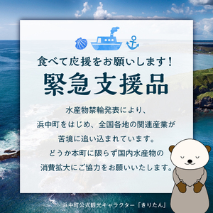 【緊急支援品】北海道産 ほたて貝柱(中)　計1kg　緊急支援品 北海道産 ほたて 貝柱 中 ～ 大 約500g ～ 1kg 貝 海鮮 魚貝 魚介 海産物 新鮮 肉厚 刺身 海鮮丼 バーベキュー カルパッチョ サラダ バター焼き フライ おかず 晩ご飯 お取り寄せ グルメ 食品 冷凍 北海道 浜中町 送料無料_H0001-044