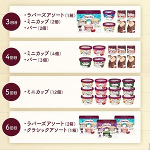＜全6回・隔月＞食べ比べ定期便！ハーゲンダッツ人気 セット アイス スイーツ デザート バニラ ストロベリー チョコレート ご褒美 詰め合わせ 贅沢 乳製品 おやつ ミニカップ おすすめ お取り寄せ グルメ 冷凍 北海道 浜中町 送料無料_H0026-022