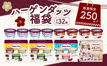 【数量限定!!】ハーゲンダッツ 大人の贅沢アイスクリーム福袋(アソート ボックス＆ミニカップ)アイスクリーム アイス スイーツ デザート_H0026-067
