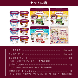 【数量限定!!】ハーゲンダッツ 大人の贅沢アイスクリーム福袋(アソート ボックス＆ミニカップ)アイスクリーム アイス スイーツ デザート_H0026-067
