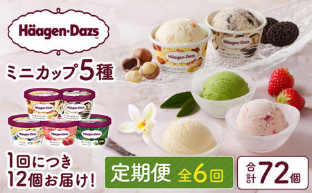 ＜全6回定期便・連続＞ハーゲンダッツ『定番ミニカップフレーバー5種セット(合計72個)』アイスクリーム アイス スイーツ デザート ミルクアイス アイススイーツ アイスデザート_H0026-032