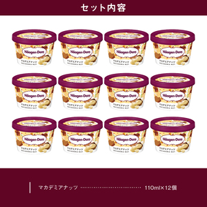 ミニカップ12個(マカデミアナッツ) ハーゲンダッツ アイス_H0016-027