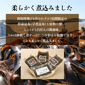 採取期間わずか3日！幻のさお前昆布の佃煮　4種セット　4 種の味が楽しめる さお前昆布 早煮昆布 佃煮 4種 セット 霧昆 しょうが うめ ぴり辛 白貝 棹前 昆布 ミネラル 食物繊維 霧多布ママキッチン ごはんのおとも 北海道 浜中町 お取り寄せ 送料無料_030103