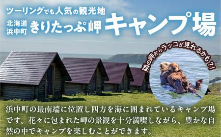 【返礼品なし】浜中町『きりたっぷ岬キャンプ場』1,000円　応援支援寄附_H0028-001