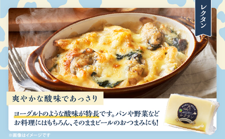 【おおともチーズ工房】セミハードチーズ2種セット(キャラウェイ・レクタン)_H0003-014