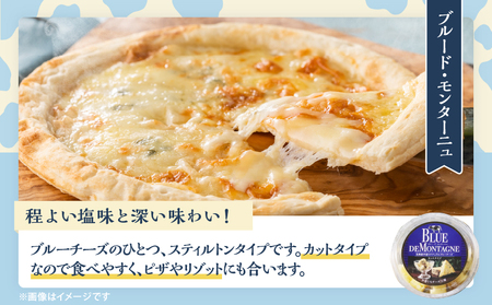 【おおともチーズ工房】《ワインとの相性抜群!!》濃厚ナチュラルチーズ3種セット_H0003-016