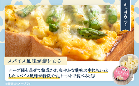 【おおともチーズ工房】《おつまみ&お料理に!!》カットチーズ&カチョカバロセット_H0003-020