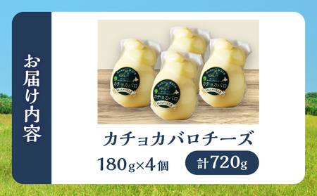 【おおともチーズ工房】《み～んな大好き!!》カチョカバロチーズ180g×4個セット_H0003-030