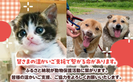 【動物愛護ボランティア】浜中町「ポラリス☆はまなか」を支援 1000円分 返礼品なし_H0048-001