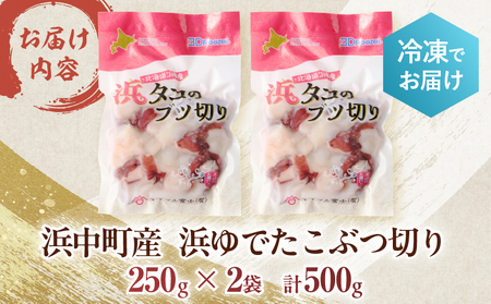 浜ゆでたこぶつ切り(250g×2袋) たこ 訳あり_H0023-033-R803