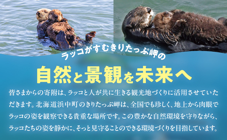 ラッコを見守る岬「きりたっぷ岬」周辺の環境整備　5000円分 返礼品なし_H0028-011