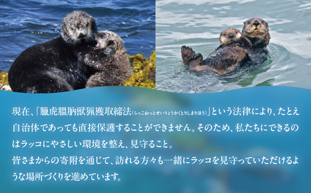 ラッコを見守る岬「きりたっぷ岬」周辺の環境整備　10000円分「きりたん」ぬいぐるみ付き_H0028-012-kiri