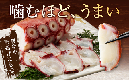 【令和8年2月発送】＜新物＞ たこ足 (350g×2袋）たこ_H0023-041-R802