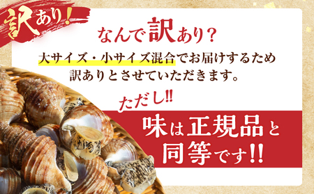 【訳あり】北海道浜中産『灯台つぶ(ボイルむき身)300g×2パック』_H0023-056