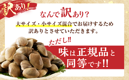 【訳あり】1月～3月発送《期間限定》浜中町産活あさり(500g×2袋) あさり_H0023-048