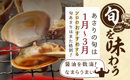 【訳あり】1月～3月発送《期間限定》浜中町産活あさり(500g×2袋) あさり_H0023-048