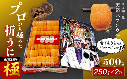 ≪プロ厳選≫最高級折うに(極)宮下あきら先生パッケージVer計500g うに ウニ 雲丹 折うに 海鮮 海産物 北海道 浜中町 ふるさと納税 人気_H0014-013