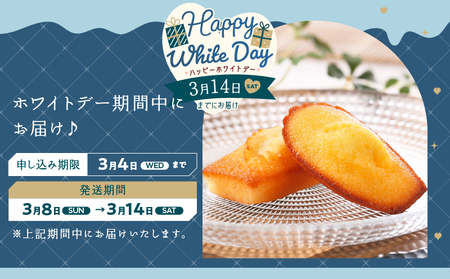 【ホワイトデーまでにお届け】アンリ・シャルパンティエ『フィナンシェ・マドレーヌ詰め合わせ(16個入り)』_H0030-003-WD