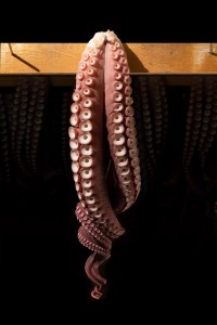 煮たこ足(約1kg×2本)　煮たこ 足 約1kg × 2本 新鮮 大たこ 海産物 海鮮 魚介類 魚貝類 ボイル 独自製法 冷凍 引き締まった やわらかい 刺身 カルパッチョ 唐揚げ 酢の物 たこ焼き アヒージョ 小分け おかず おつまみ お取り寄せ グルメ 国産 北海道 浜中町 送料無料_220303