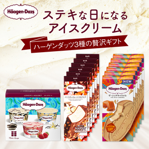 ハーゲンダッツアイスクリーム　３種の贅沢ギフト（クリスピー・バー・アソートボックス） アイス スイーツ デザート ミルクアイス アイスクリーム アイススイーツ アイスデザート_100307