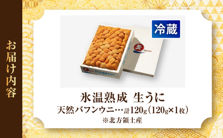 ≪氷温熟成≫生折うに(天然バフンウニ) 120g×1枚 うに_110504