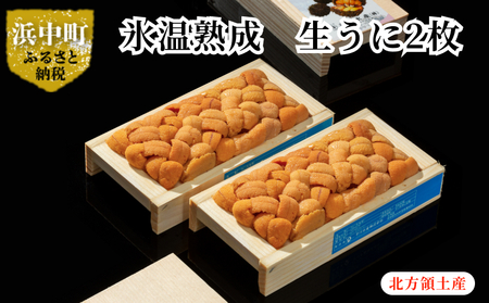 氷温熟成　生うに　2枚　ウニ 海鮮 新鮮 氷温熟成 100g × 2枚 計200g 生うに 天然生うに 殻出し 食品 北海道 浜中 お取り寄せ お取り寄せグルメ うに丼 海鮮丼 お寿司 手巻き寿司 ご褒美 食べ物 冷蔵 送料無料_111004