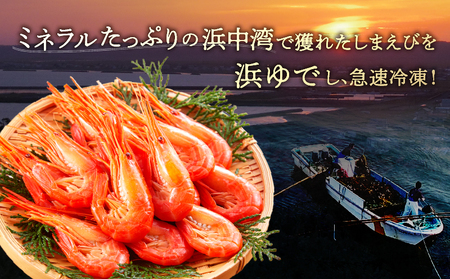 北海しまえび(大・中サイズ) 各300g×1箱_H0001-010