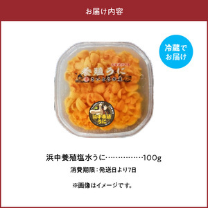 無添加「浜中町養殖塩水うに(計100g)」_H0038-002