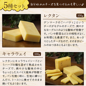 <全6回定期便・連続>【おおともチーズ工房】厳選ナチュラルチーズ5種詰め合わせセット_H0003-002