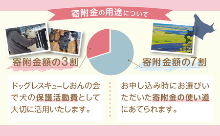 【野犬の保護活動】浜中町「ドッグレスキューしおんの会」を支援　30000円分 返礼品なし_H0039-007