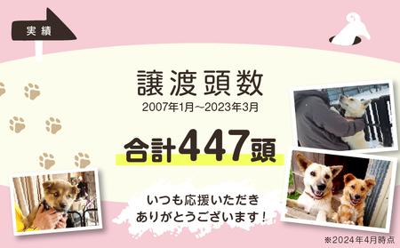 【野犬の保護活動】浜中町「ドッグレスキューしおんの会」を支援　30000円分 返礼品なし_H0039-007