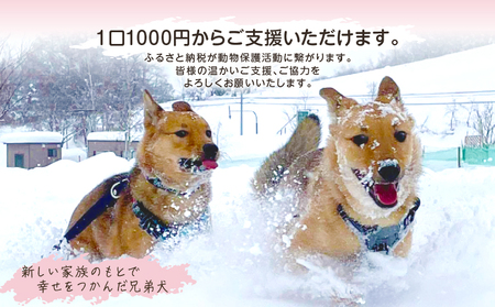 【野犬の保護活動】浜中町「ドッグレスキューしおんの会」を支援 4000円分 返礼品なし_H0039-004