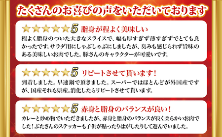 大容量!沖縄県産豚スライス3.2キロセット