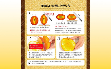 沖縄県 うるま市産 完熟 マンゴー 秀品 1kg【2026年発送】