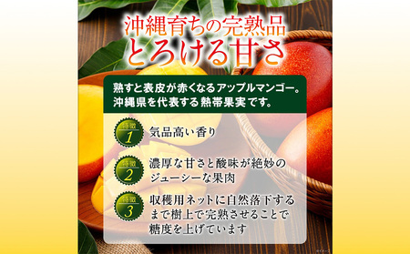 沖縄県 うるま市産 完熟 マンゴー 秀品 800g【2026年発送】