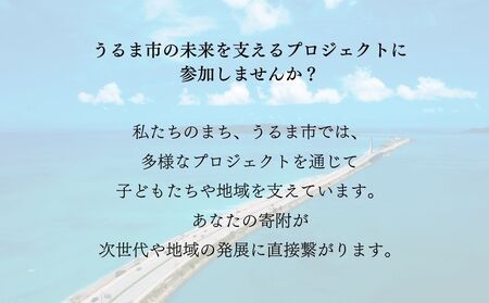 《返礼品なし》一口1000円 沖縄県うるま市への寄附 応援寄附金
