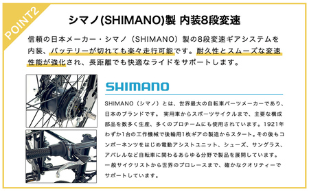 電動アシスト自転車TY05B 700Cクロスバイク×ライトブルー（5台限定）