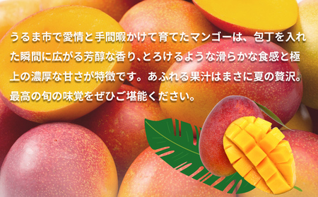沖縄県産 訳ありマンゴー 2kg【 先行予約 2026年発送 】