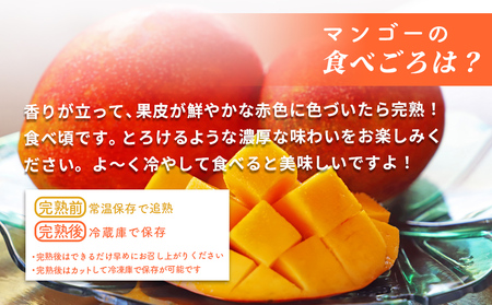 沖縄県産 訳ありマンゴー 2kg【 先行予約 2026年発送 】