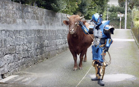 闘牛戦士ワイドー シーズン2 Dvd 全13話 沖縄県うるま市 ふるさと納税サイト ふるなび