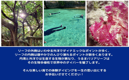 沖縄東海岸「うるまバリアリーフ」で体験ダイビング　（1名様）