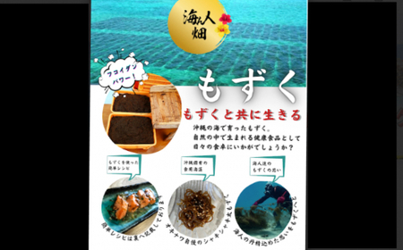 【美ら海水産】塩もずく（約5kg）