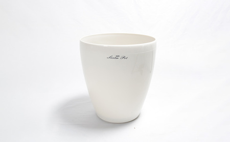 沖縄の観葉植物 人気のフィカス ベンガレンシス6号 ラスターポット