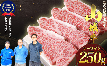 【入手困難】【幻の黒毛和牛】『山城牛』【雌牛限定】サーロイン　ステーキカット250g 10,800円